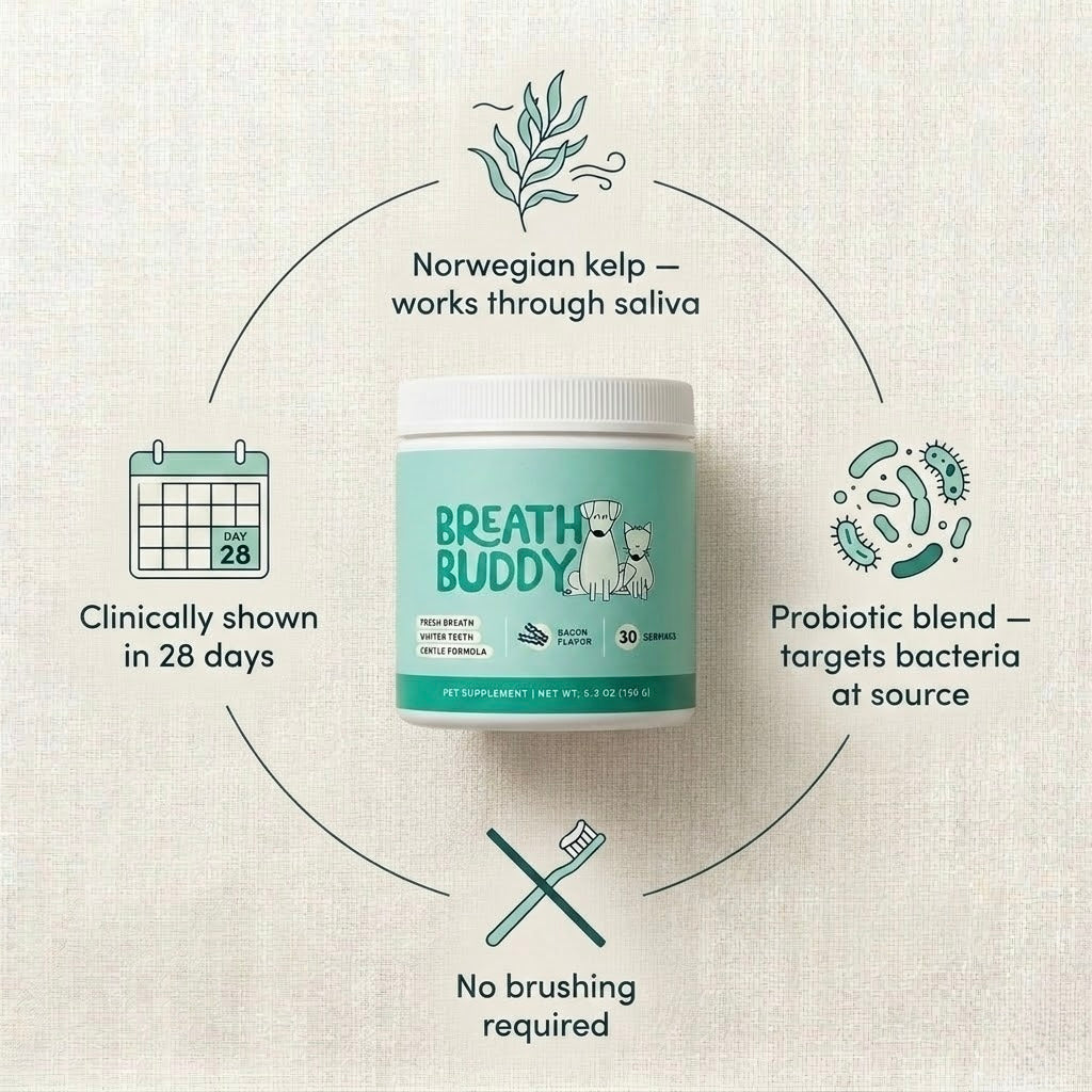 WellKin Breath Buddy - Dental Powder