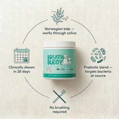 WellKin Breath Buddy - Dental Powder