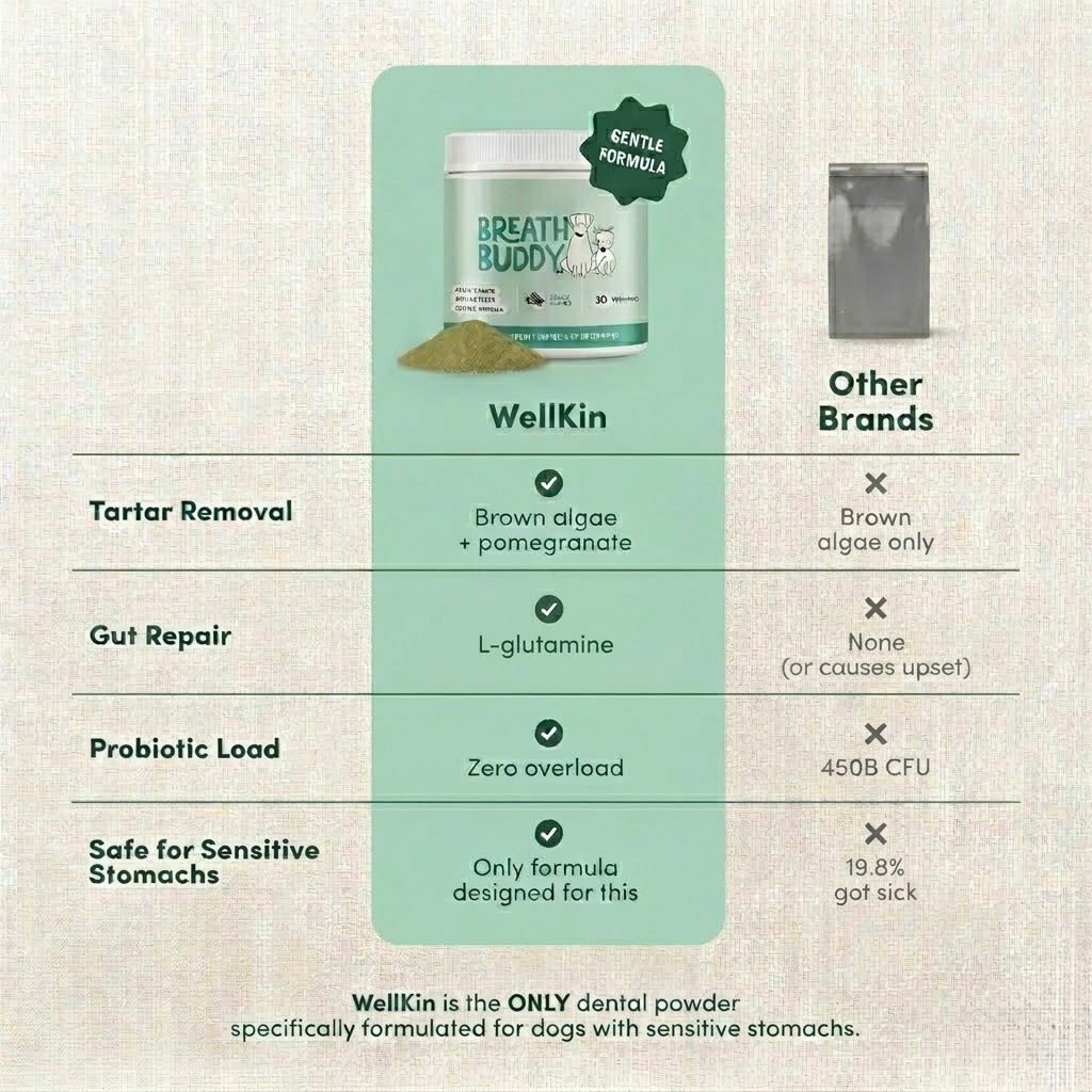 WellKin Breath Buddy - Dental Powder